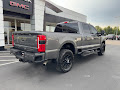 2023 Ford Super Duty F-250 SRW 4WD Lariat Crew Cab