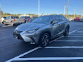 2019 Lexus NX NX 300