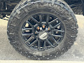 2022 Ford Super Duty F-250 SRW 4WD Platinum Crew Cab